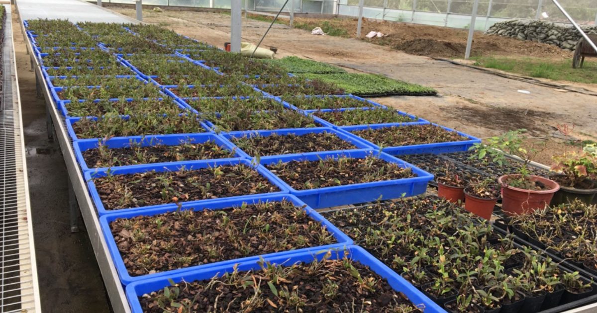 食品醫藥電子冷鏈物流周轉製品場景化推薦指南