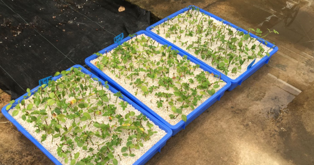 物流場景周轉（zhuǎn）箱定製服務：從通用（yòng）容器到精準效率引擎